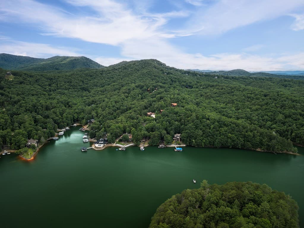 115 Necowa Cove Overlook, Blue Ridge GA 30513 - Photo