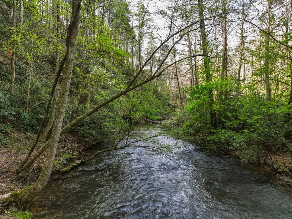 58 River Road, Cherry Log GA 30522 - Photo