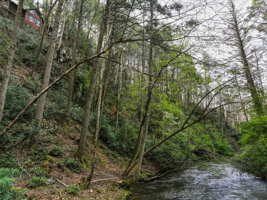 58 River Road, Cherry Log GA 30522 - Photo