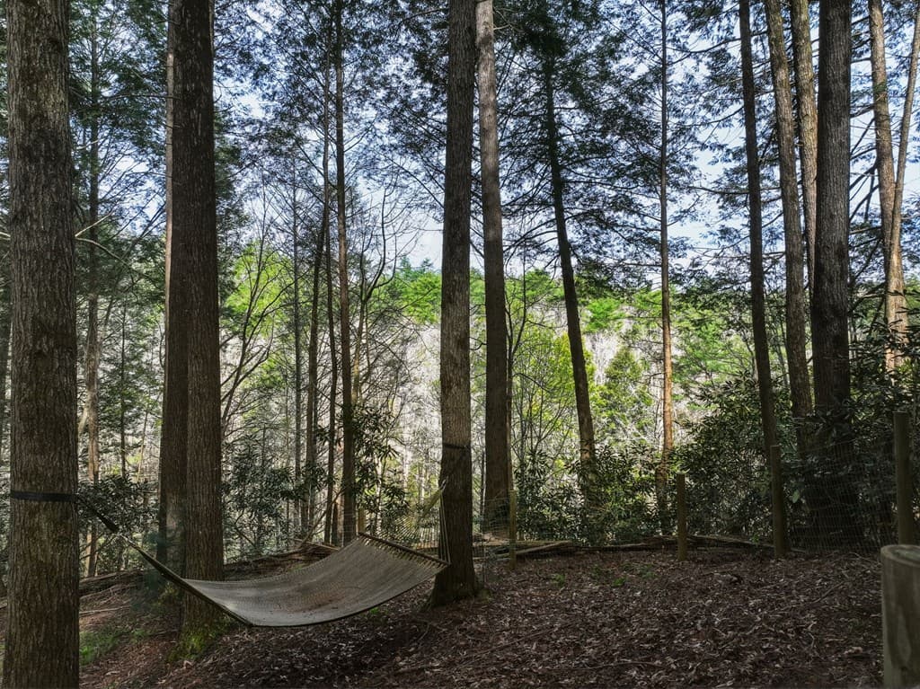 58 River Road, Cherry Log GA 30522 - Photo