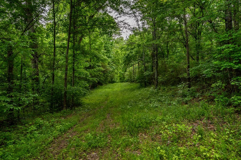 4.5 AC Hickory Flat Highway, Woodstock GA 30188 - Photo