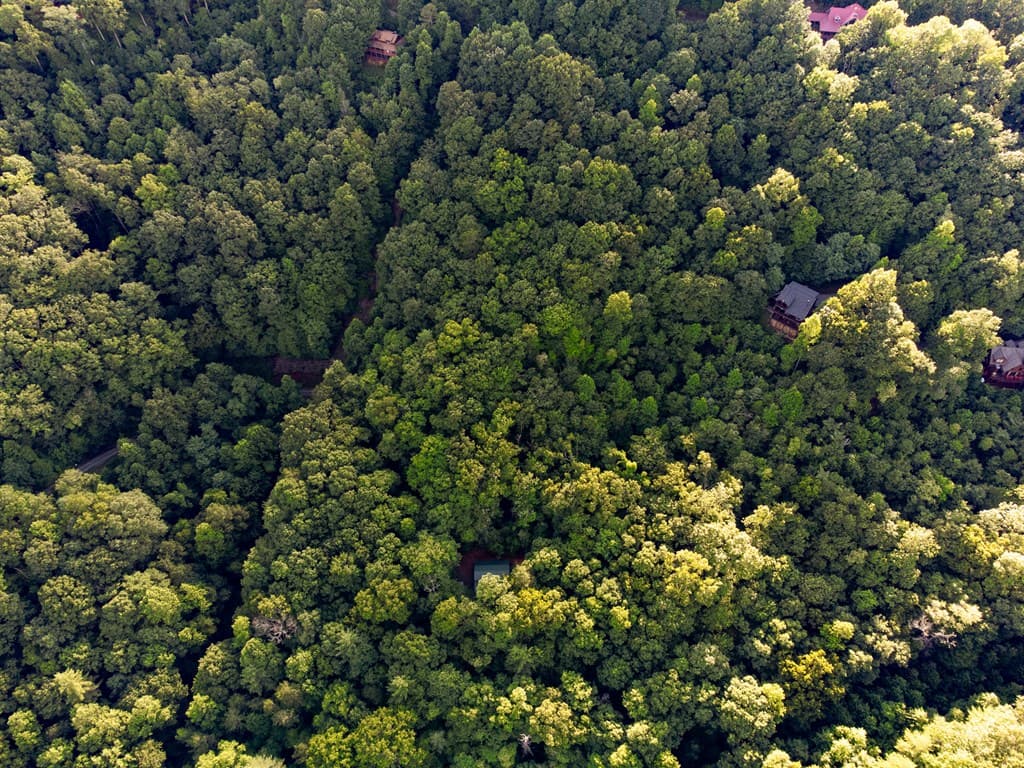 Lot 18 Cub Trail, Cherry Log GA 30522 - Photo