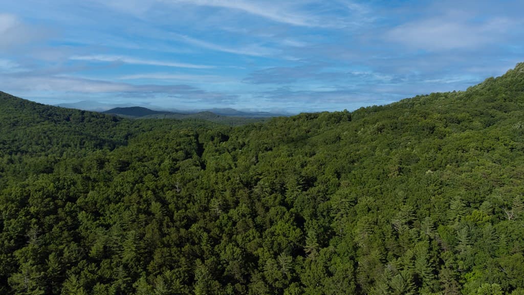 Lot 18 Cub Trail, Cherry Log GA 30522 - Photo
