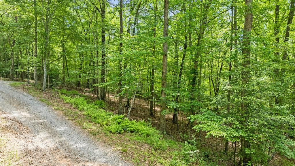 LT 16 Navajo Trail, Mccaysville GA 30555 - Photo