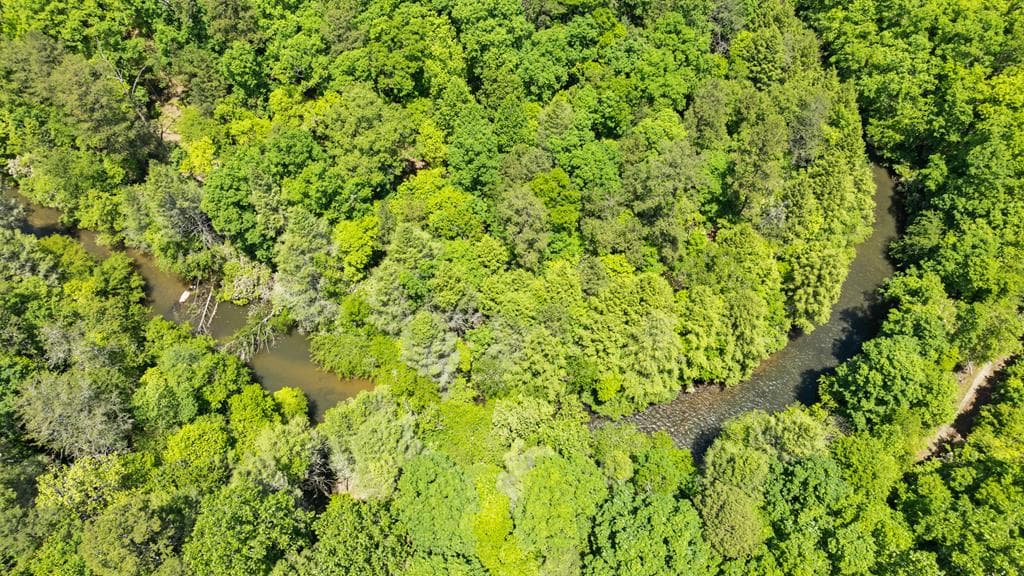 LT 16 Navajo Trail, Mccaysville GA 30555 - Photo