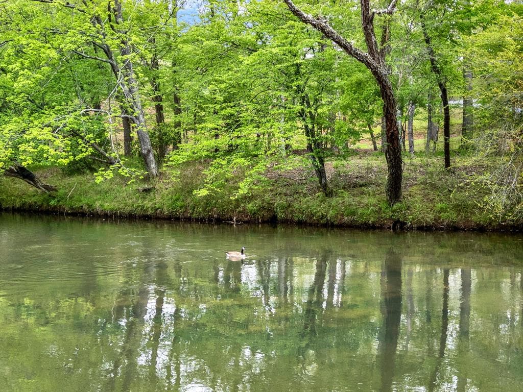474 Seneca Way, Ellijay GA 30540 - Photo