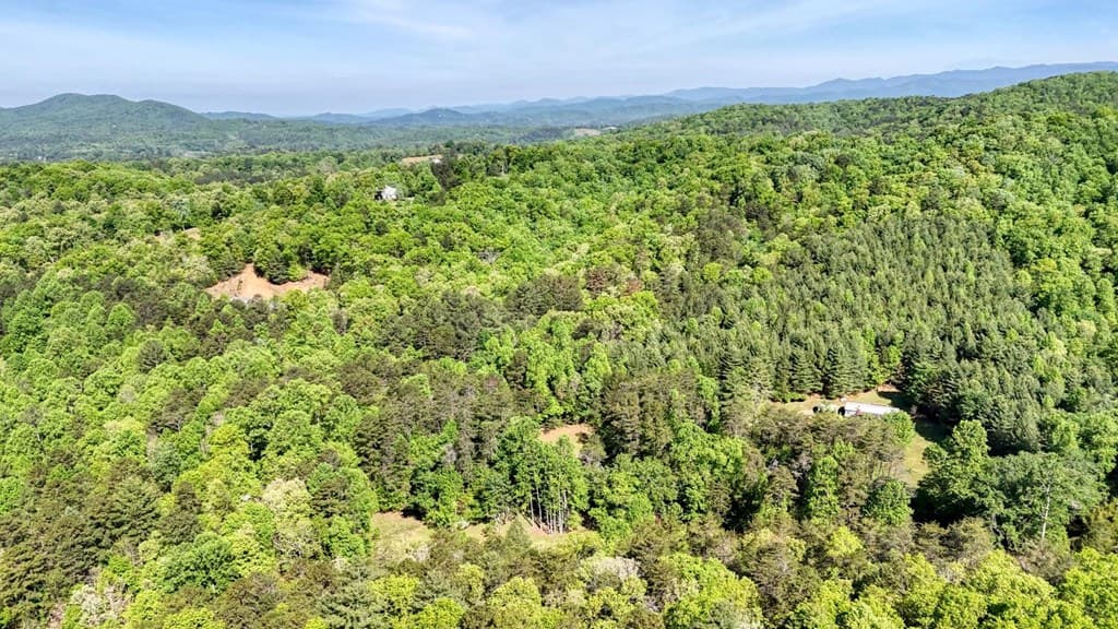1493 Greasy Creek Road, Brasstown NC 28902 - Photo