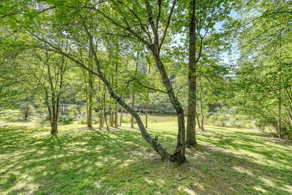 1493 Greasy Creek Road, Brasstown NC 28902 - Photo
