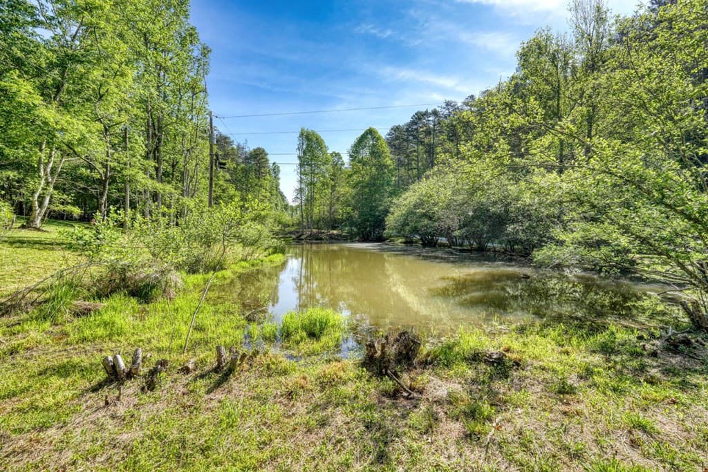 1493 Greasy Creek Road, Brasstown NC 28902 - Photo