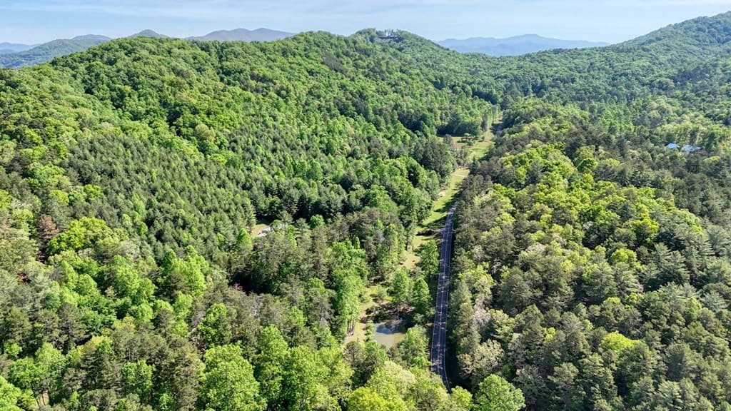 1493 Greasy Creek Road, Brasstown NC 28902 - Photo