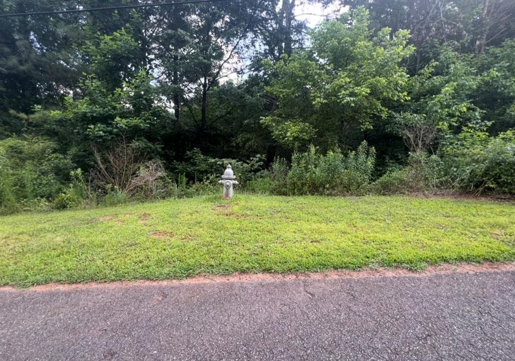 4 Lots Kelly Lane, Ellijay GA 30540 - Photo