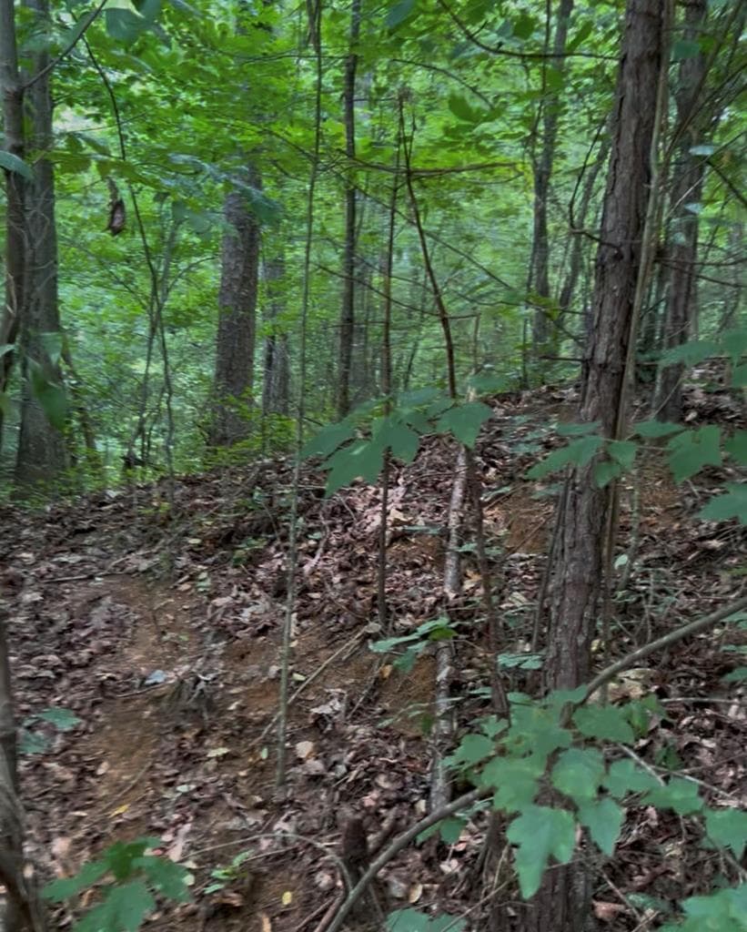 4 Lots Kelly Lane, Ellijay GA 30540 - Photo