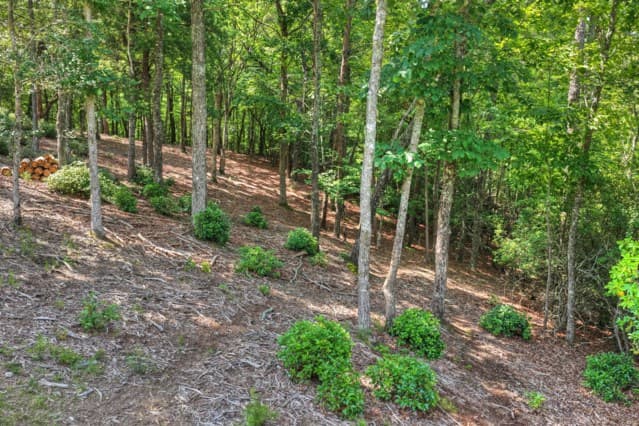46 Sequoya Trl, Blairsville GA 30512 - Photo