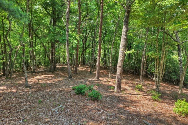 46 Sequoya Trl, Blairsville GA 30512 - Photo
