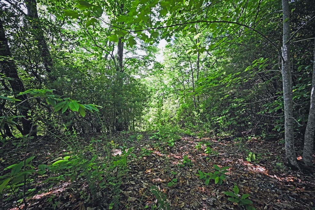 Lot 3 The Ridges, Hiawassee GA 30546 - Photo