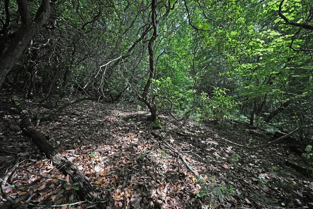 Lot 3 The Ridges, Hiawassee GA 30546 - Photo