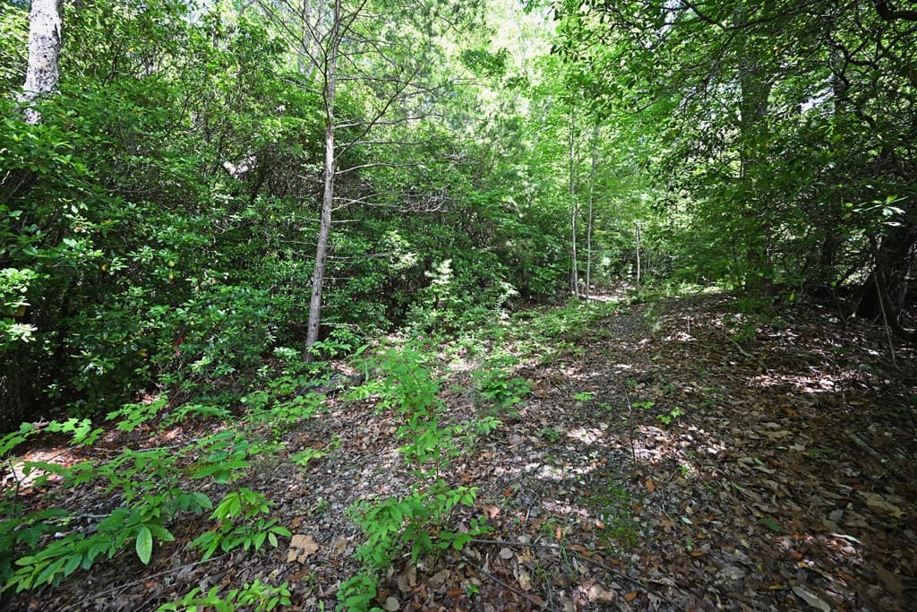Lot 3 The Ridges, Hiawassee GA 30546 - Photo