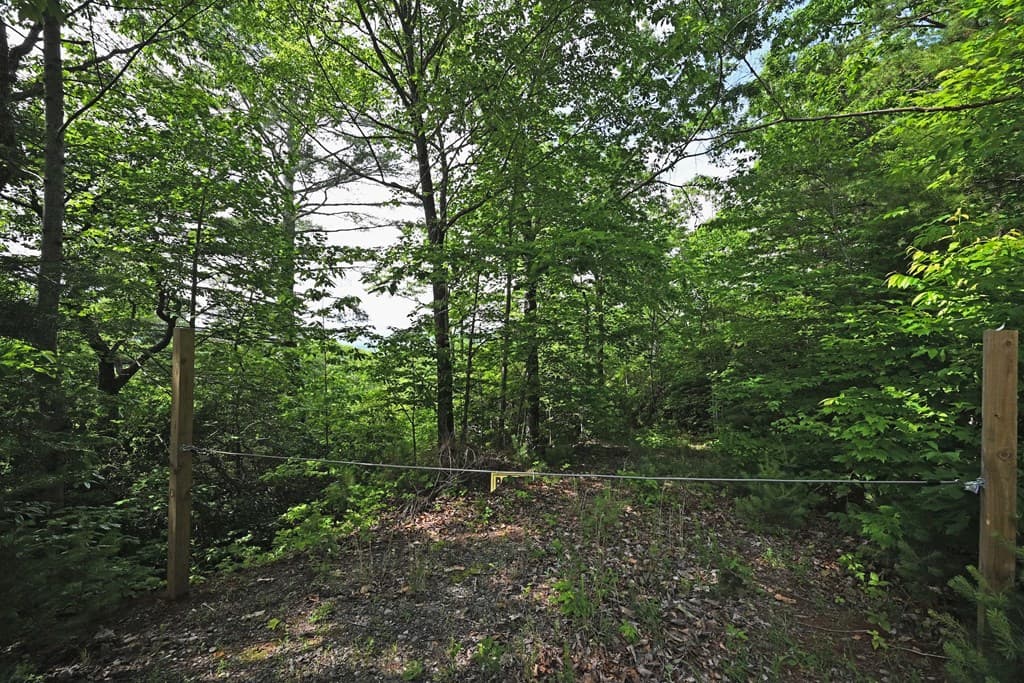 Lot 3 The Ridges, Hiawassee GA 30546 - Photo