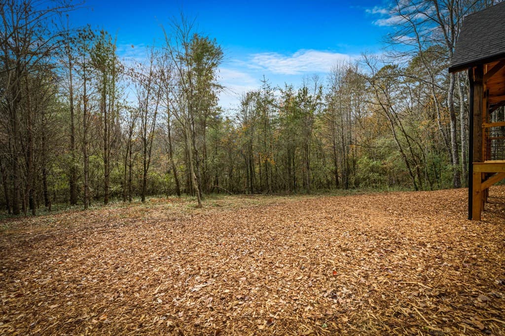40 Cherry Street, East Ellijay GA 30540 - Photo