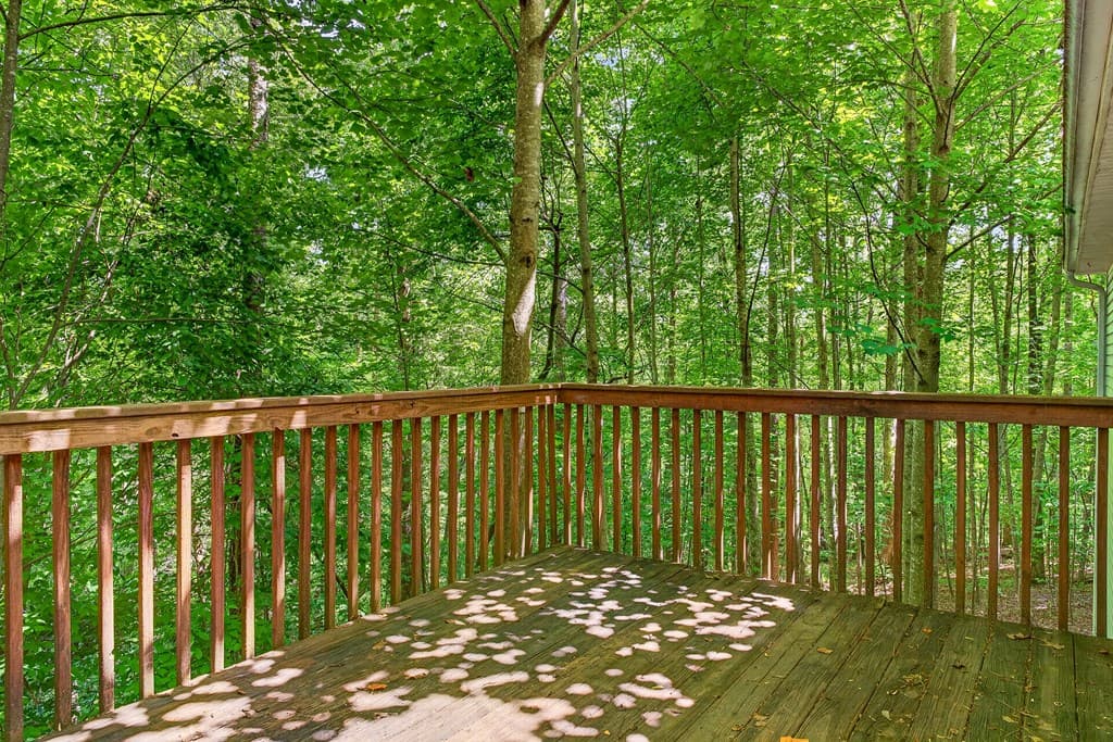 365 Price Lane, Dahlonega GA 30533 - Photo