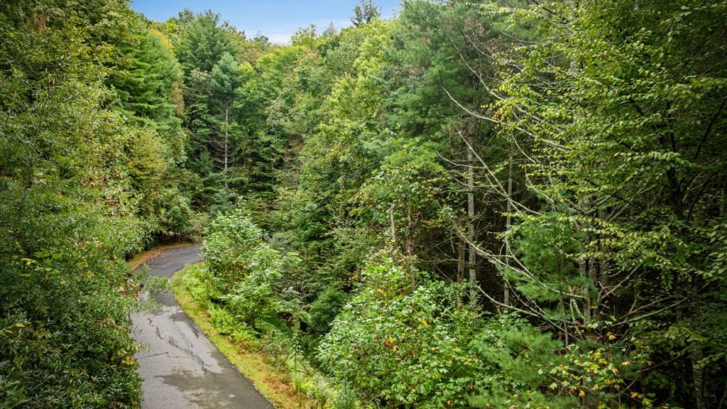 Lot 16 Buckskin Drive, Blue Ridge GA 30513 - Photo