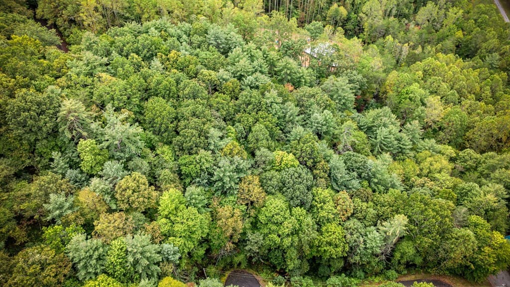 Lot 16 Buckskin Drive, Blue Ridge GA 30513 - Photo
