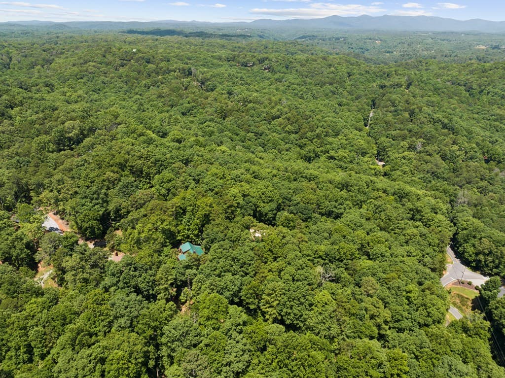 52 Merit Court, Ellijay GA 30540 - Photo