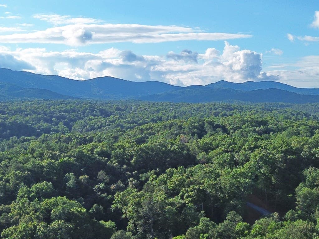 Lot 19 Mt. Springer Road, Ellijay GA 30540 - Photo