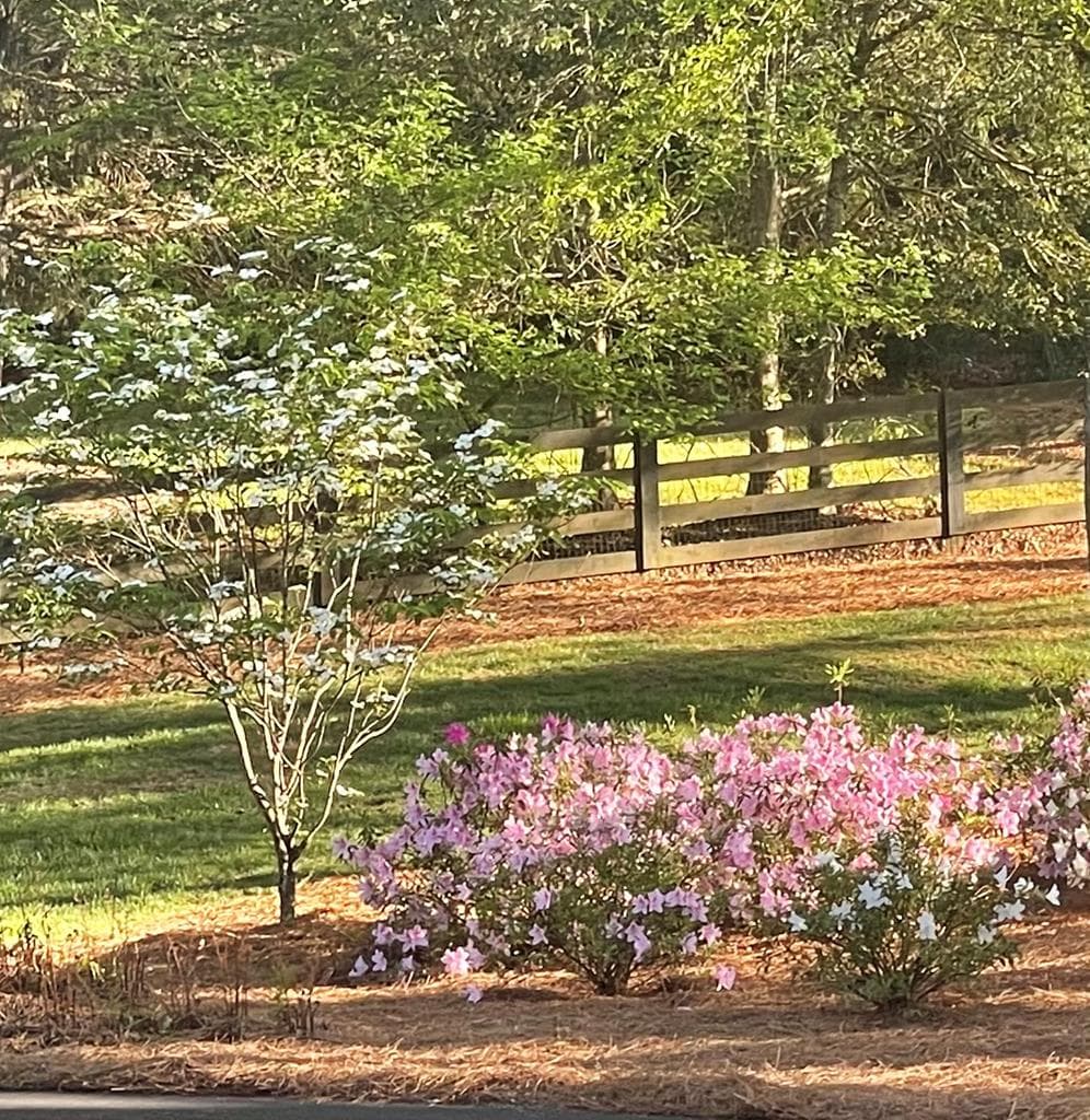 210 Etowah Landing, Ball Ground GA 30107 - Photo