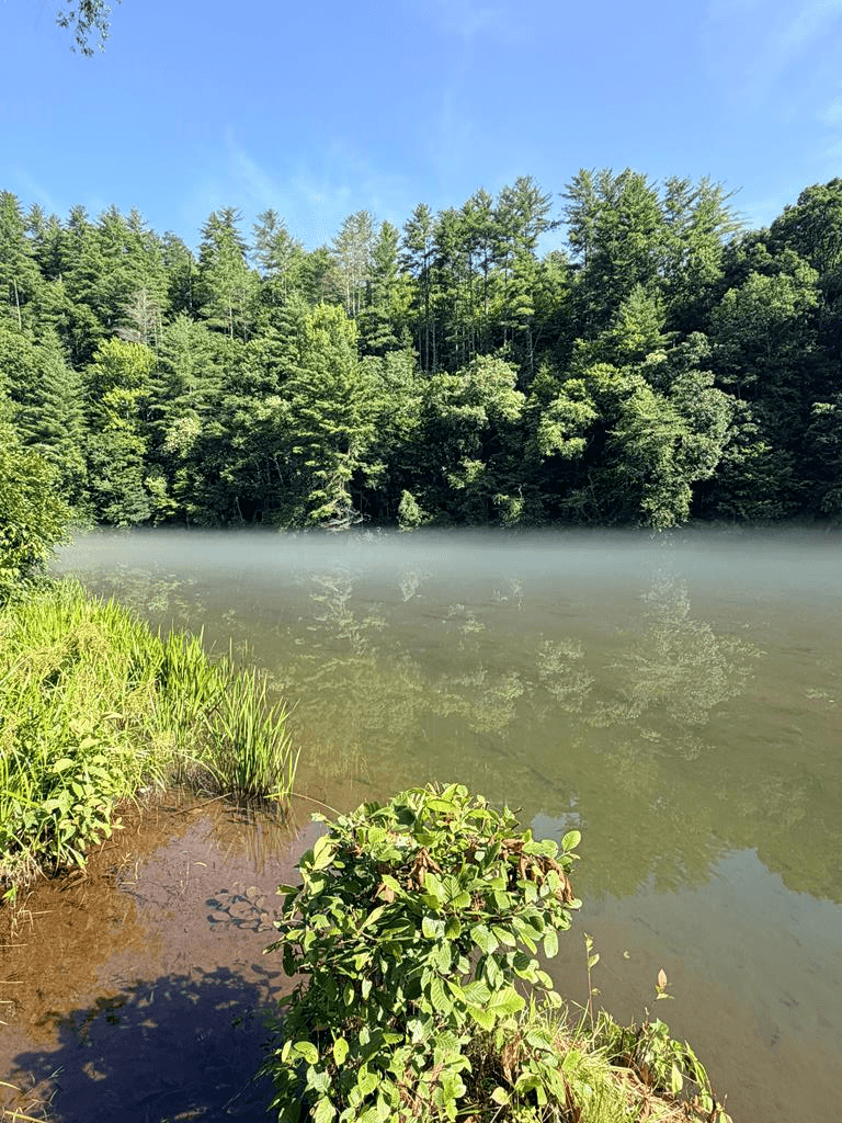 LOT 30A Trillium Heights, Hayesville NC 28904 - Photo