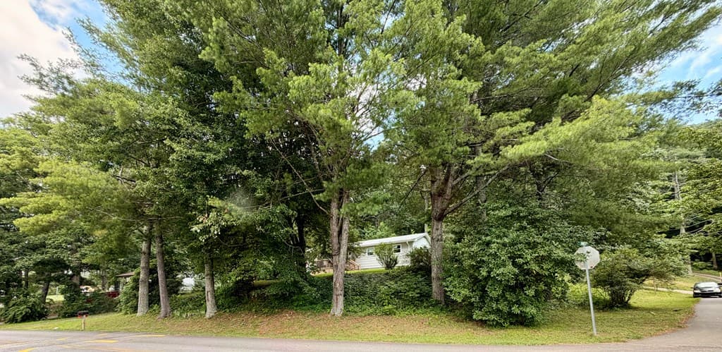 203 Jones Street, Blairsville GA 30512 - Photo