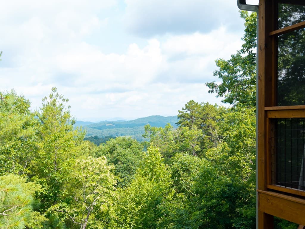 313 Lexington Drive, Brasstown NC 28902 - Photo