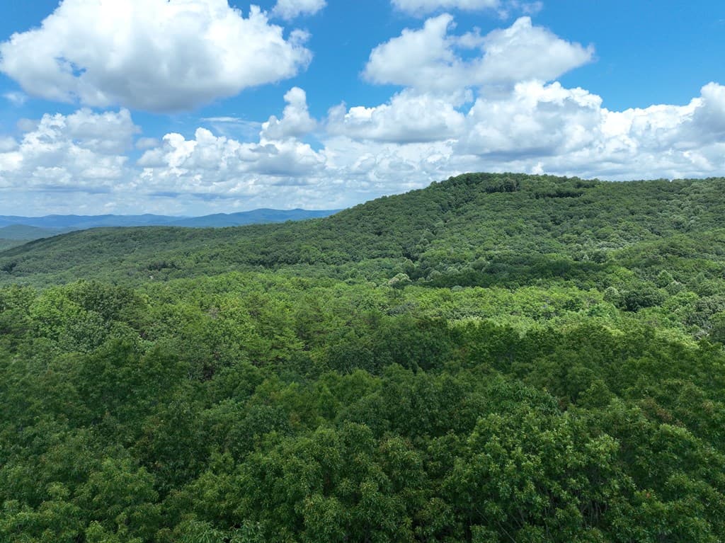 122 Cloudland Drive, Ellijay GA 30536 - Photo