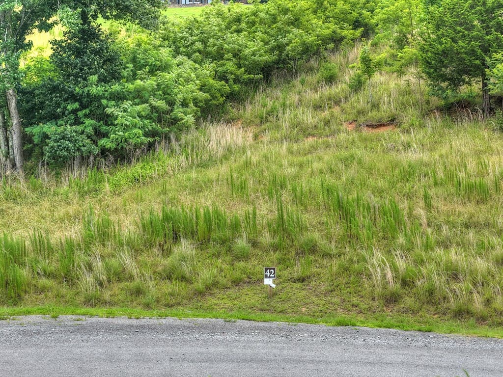 Lot 42 Big Valley Overlook, Morganton GA 30560 - Photo