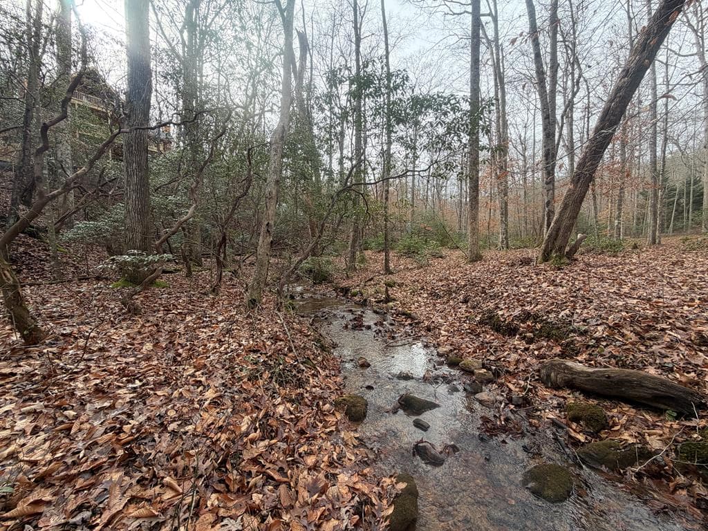 811 Mangums Trail, Blue Ridge GA 30513 - Photo