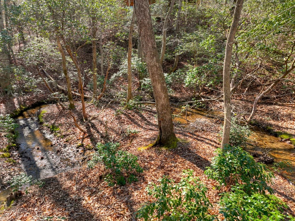 811 Mangums Trail, Blue Ridge GA 30513 - Photo