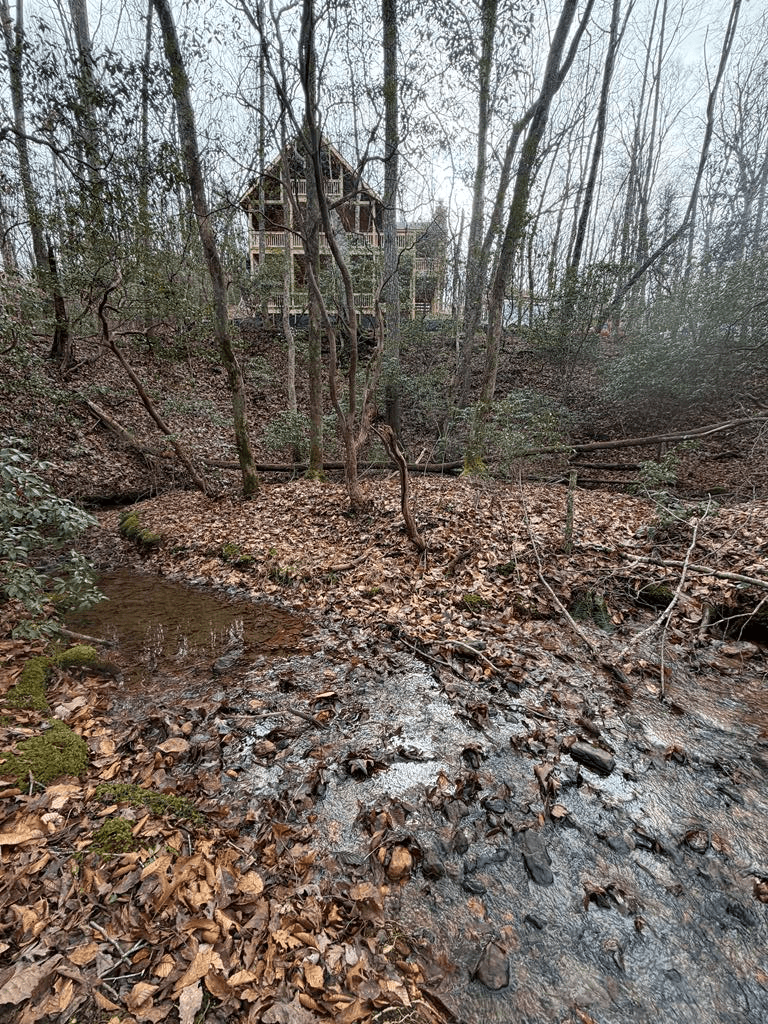811 Mangums Trail, Blue Ridge GA 30513 - Photo