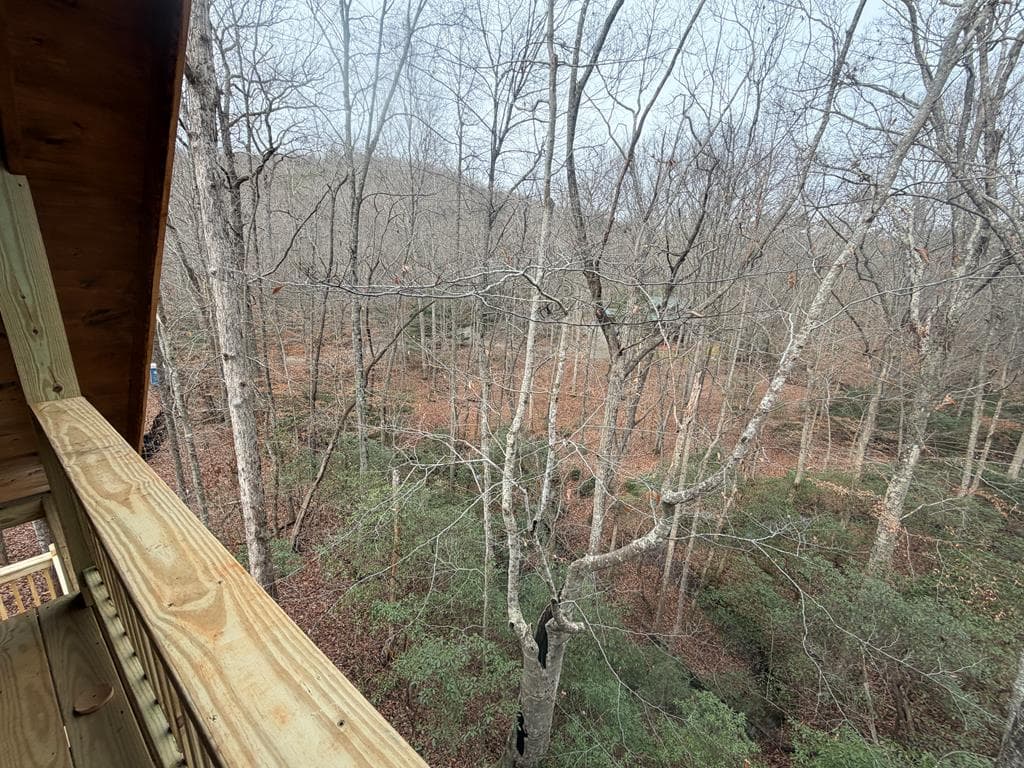 811 Mangums Trail, Blue Ridge GA 30513 - Photo