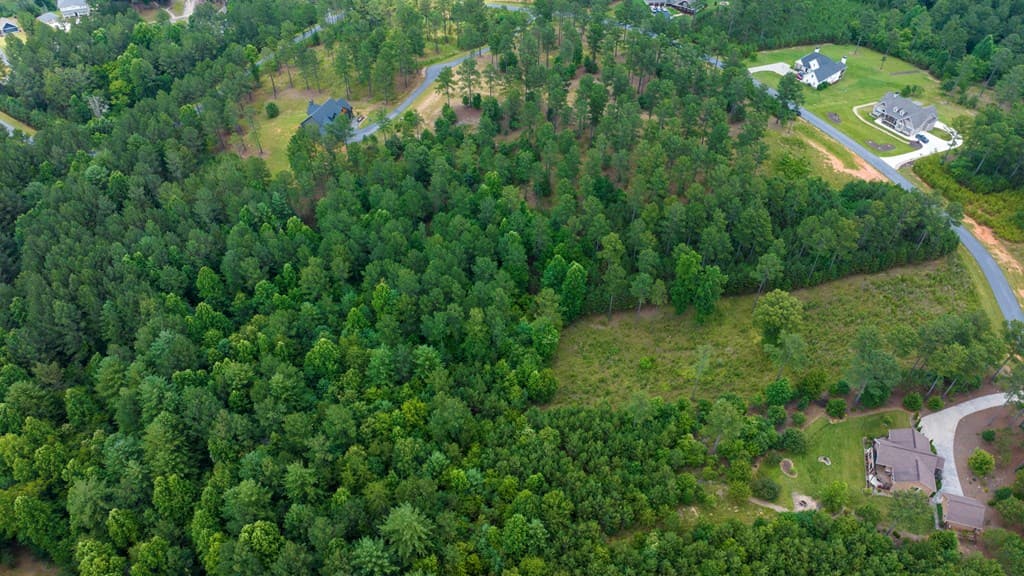 Lot 343 Loop Lane, Blairsville GA 30512 - Photo