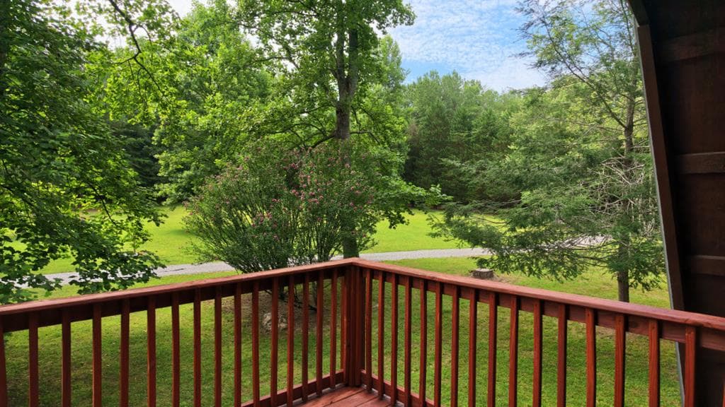 170 Dogpatch Lane, Blue Ridge GA 30513 - Photo