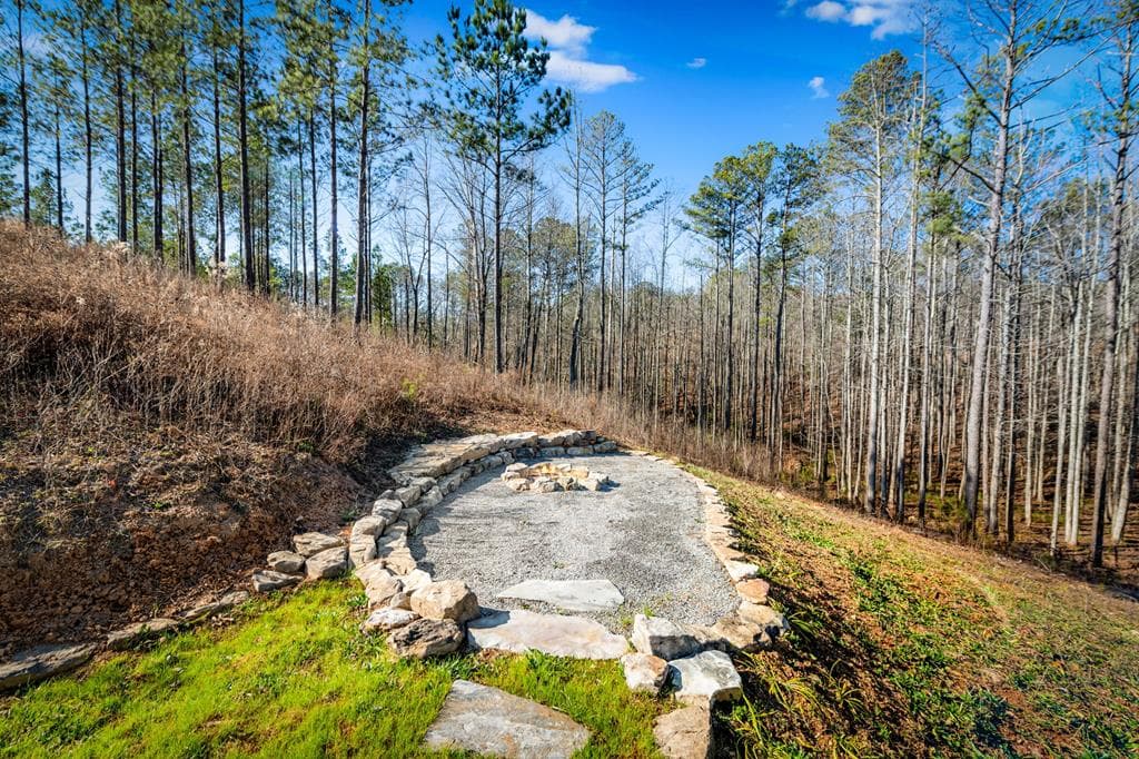 1958 Twisted Oak Road, Talking Rock GA 30175 - Photo