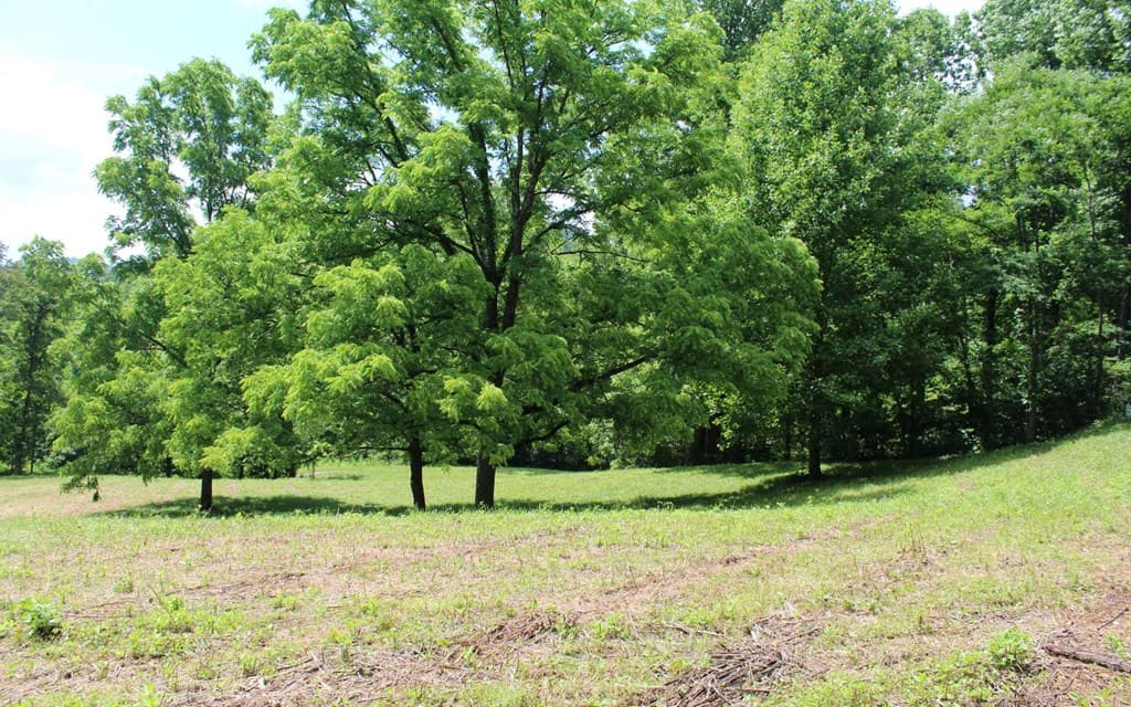 lot 8 High Meadows, Hayesville NC 28904 - Photo