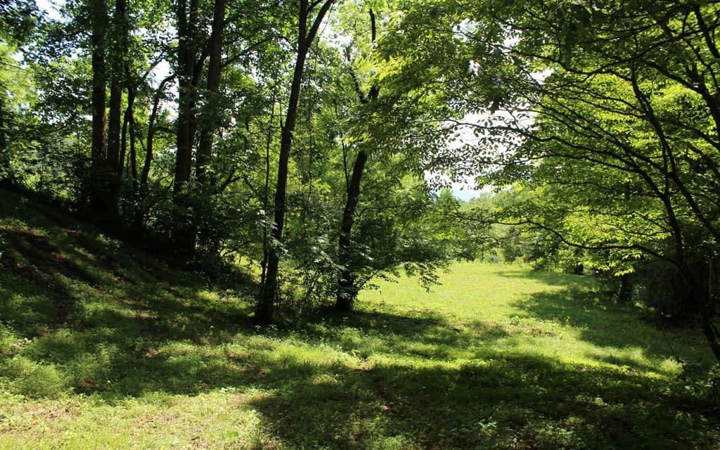 lot 8 High Meadows, Hayesville NC 28904 - Photo