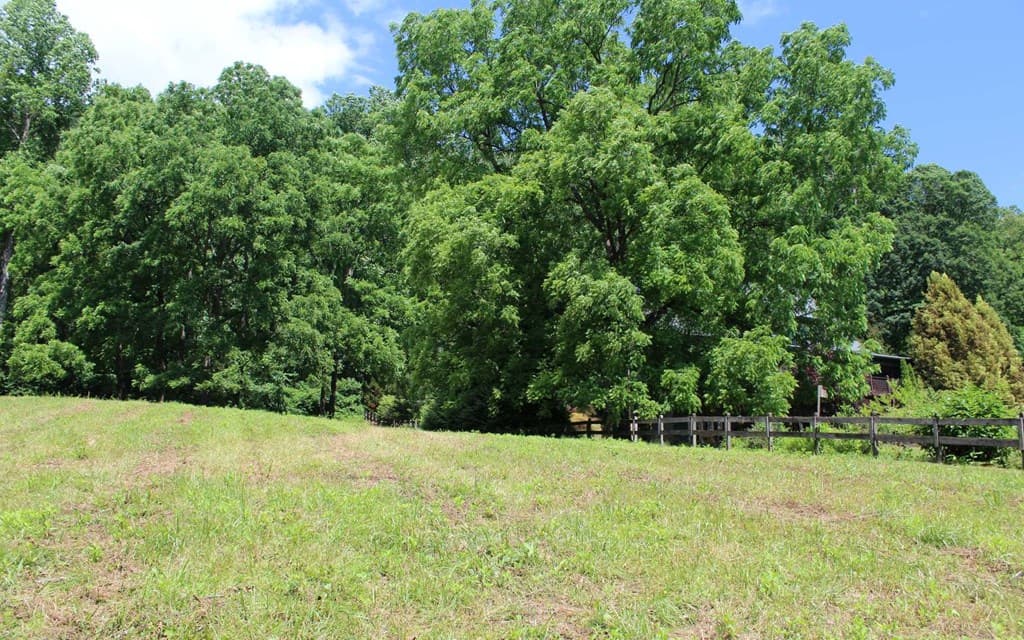 lot 8 High Meadows, Hayesville NC 28904 - Photo