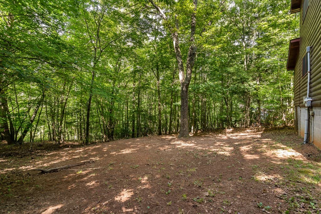 162 Little Falls Drive, Mineral Bluff GA 30559 - Photo