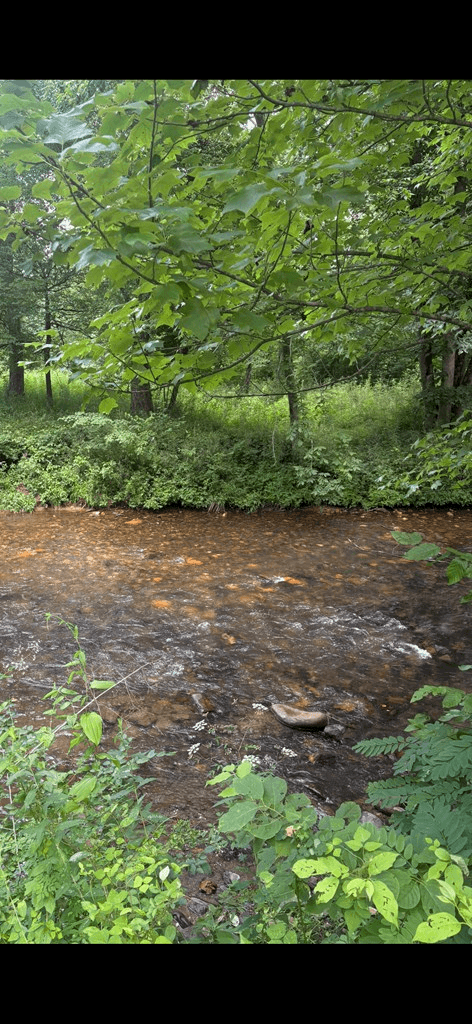 lot 6 Creekfront Lane, Hayesville NC 28904 - Photo