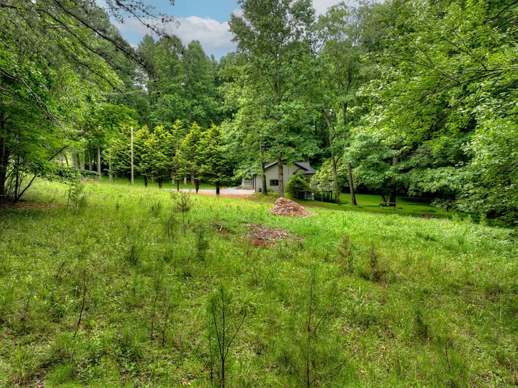 232 Chestnut Gap, Blue Ridge GA 30313 - Photo