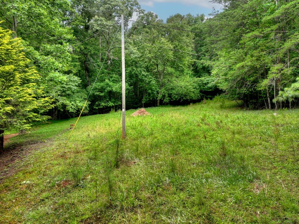 232 Chestnut Gap, Blue Ridge GA 30313 - Photo