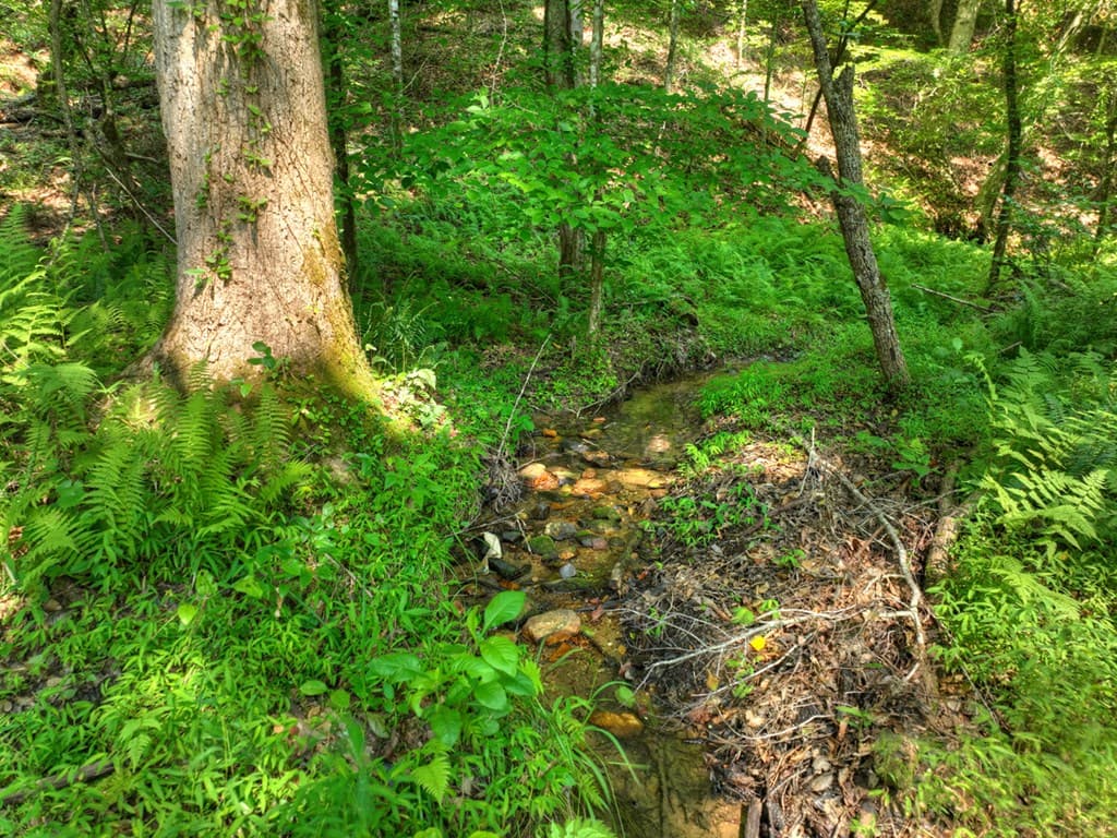 279 Shallow Water Trail, Talking Rock GA 30175 - Photo