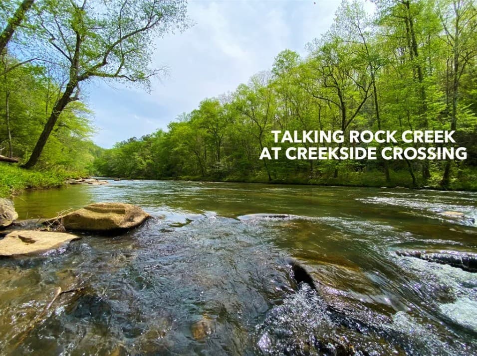 279 Shallow Water Trail, Talking Rock GA 30175 - Photo